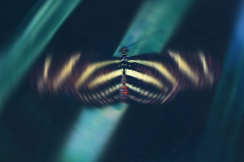 Giangi-Cappai-Better_Life (Cover)